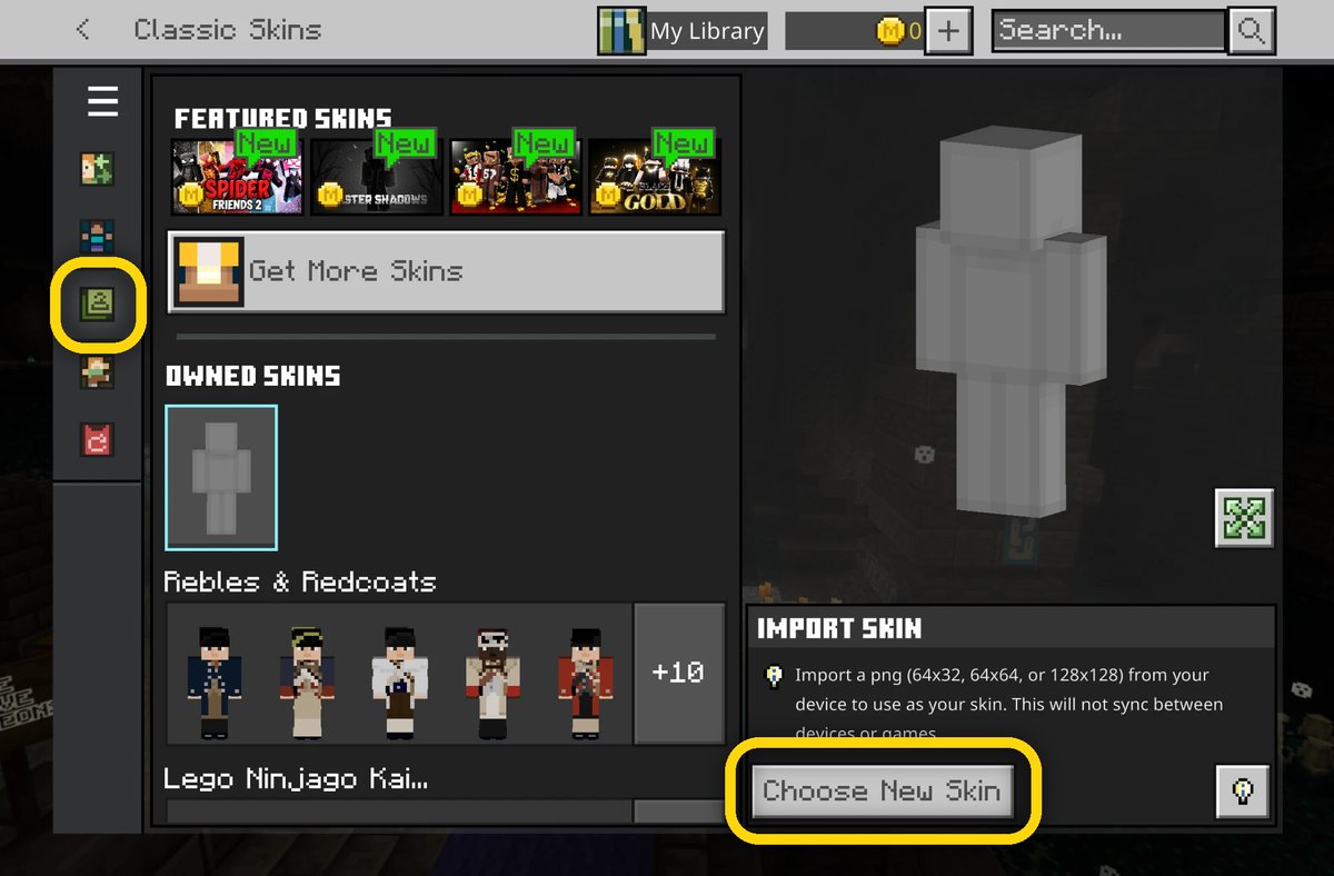 The Classic Skins tab and the Choose New Skin button