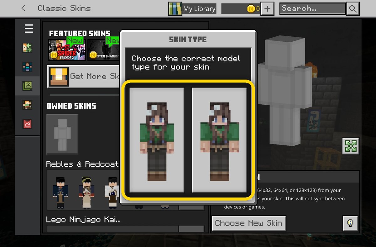 Choosing the skin model type